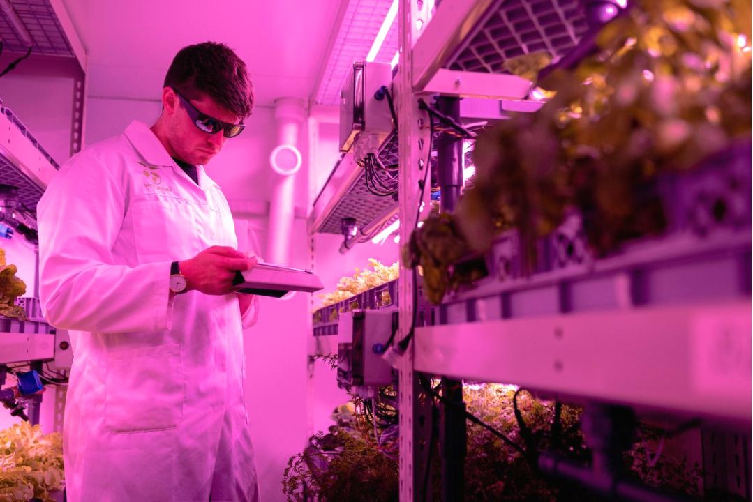 Étudiant utilisant la calculatrice IA