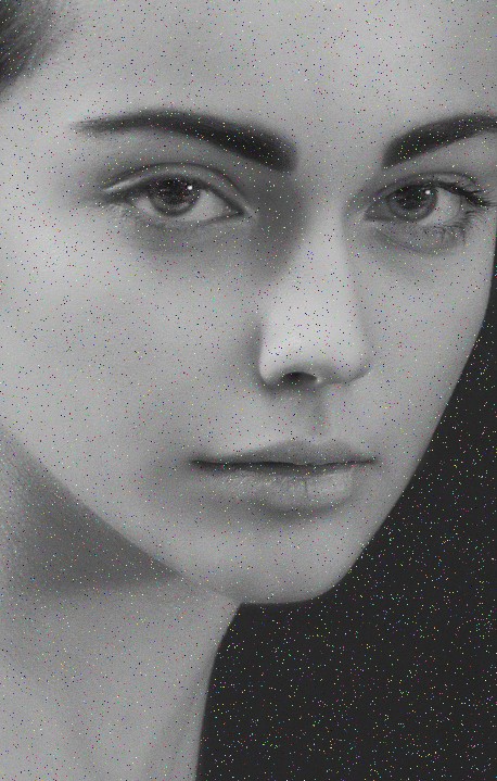 Portrait de l'expert lyonnais